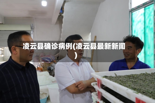 凌云县确诊病例(凌云县最新新闻)