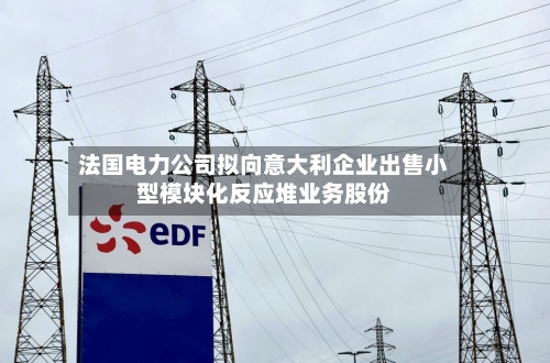 法国电力公司拟向意大利企业出售小型模块化反应堆业务股份
