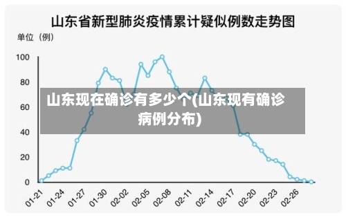 山东现在确诊有多少个(山东现有确诊病例分布)