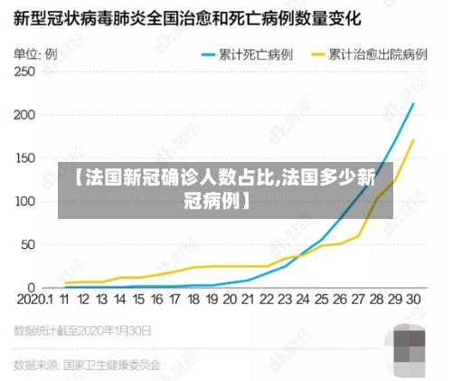 【法国新冠确诊人数占比,法国多少新冠病例】-第2张图片