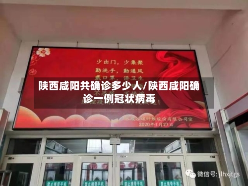 陕西咸阳共确诊多少人/陕西咸阳确诊一例冠状病毒-第2张图片