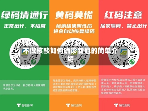 不做核酸如何确诊新冠的简单介绍