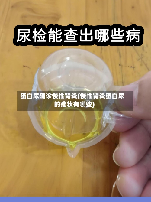 蛋白尿确诊慢性肾炎(慢性肾炎蛋白尿的症状有哪些)