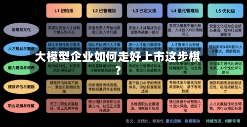 大模型企业如何走好上市这步棋？