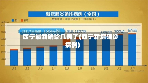 西宁最新确诊几例了(西宁新增确诊病例)-第2张图片