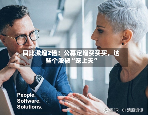 同比激增2倍！公募定增买买买，这些个股被“宠上天”-第3张图片