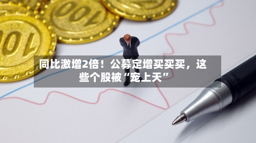 同比激增2倍！公募定增买买买，这些个股被“宠上天”
