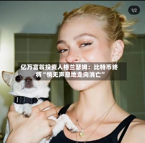 亿万富翁投资人格兰瑟姆：比特币终将“悄无声息地走向消亡”-第3张图片
