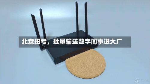 北森扭亏，批量输送数字同事进大厂-第2张图片