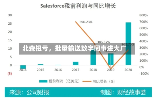北森扭亏，批量输送数字同事进大厂-第3张图片