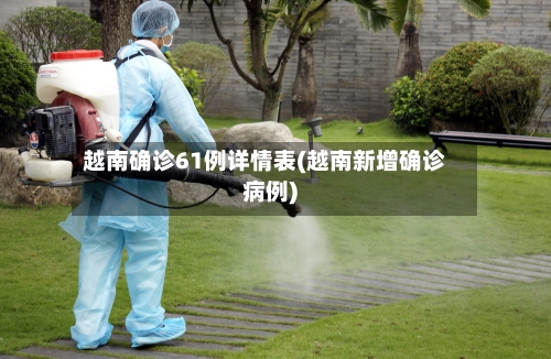 越南确诊61例详情表(越南新增确诊病例)