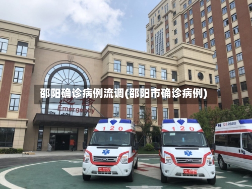 邵阳确诊病例流调(邵阳市确诊病例)-第2张图片