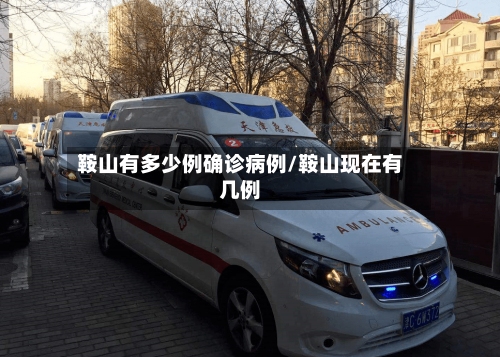 鞍山有多少例确诊病例/鞍山现在有几例