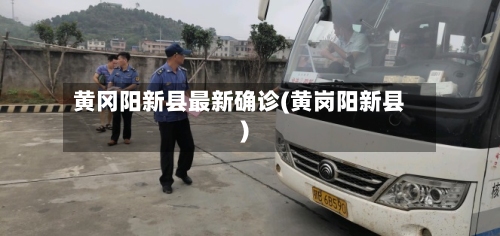 黄冈阳新县最新确诊(黄岗阳新县)