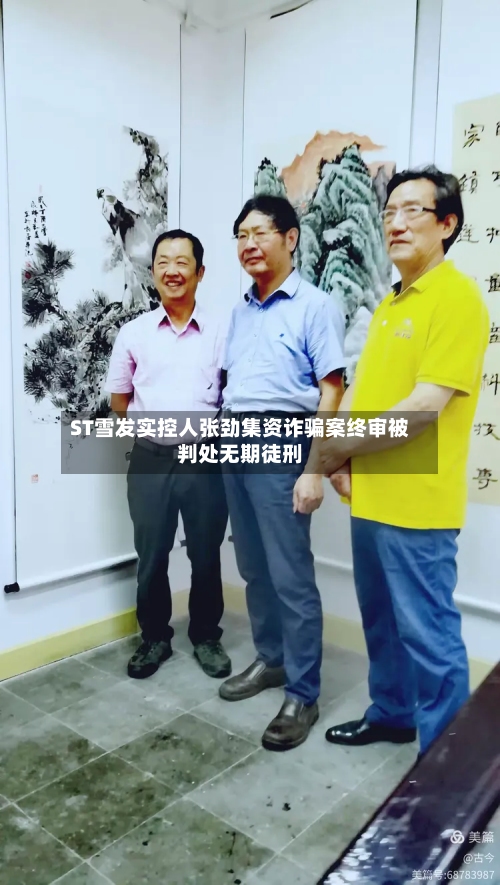 ST雪发实控人张劲集资诈骗案终审被判处无期徒刑-第3张图片