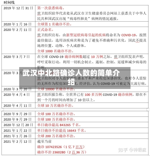 武汉中北路确诊人数的简单介绍-第3张图片