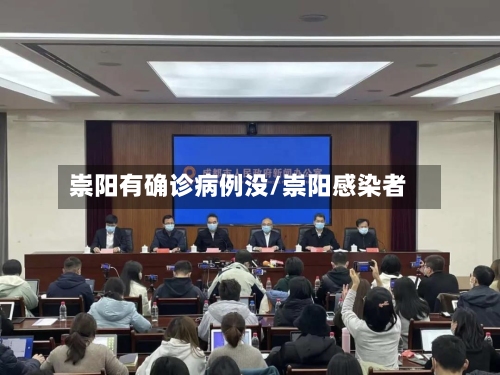 崇阳有确诊病例没/崇阳感染者-第2张图片