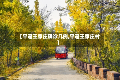 【平遥王家庄确诊几例,平遥王家庄村】