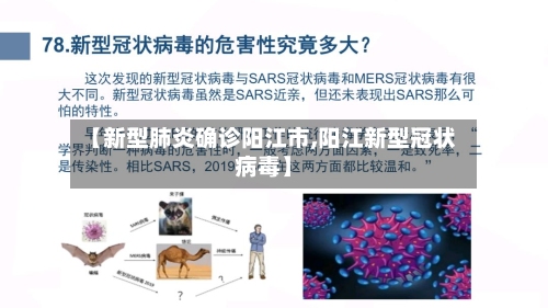 【新型肺炎确诊阳江市,阳江新型冠状病毒】