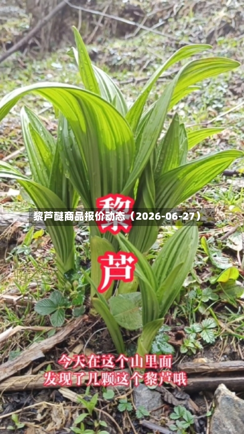 黎芦醚商品报价动态（2026-06-27）-第1张图片