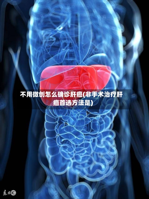 不用微创怎么确诊肝癌(非手术治疗肝癌首选方法是)-第2张图片