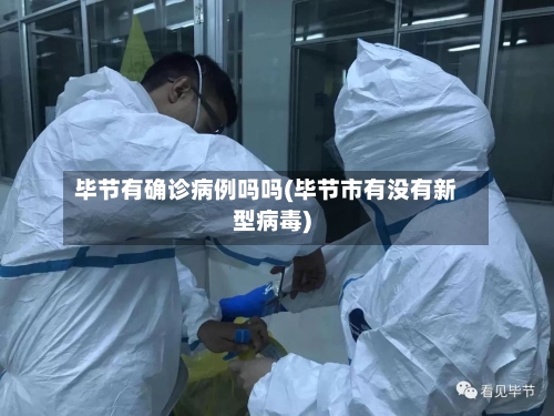 毕节有确诊病例吗吗(毕节市有没有新型病毒)-第2张图片
