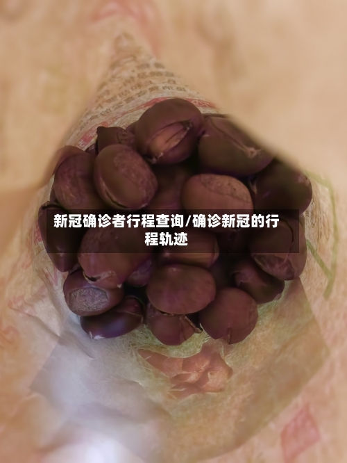 新冠确诊者行程查询/确诊新冠的行程轨迹-第2张图片