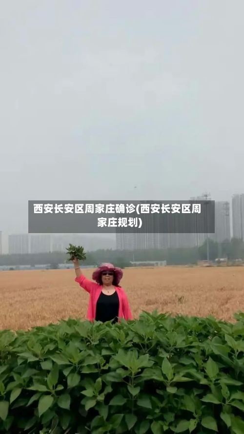 西安长安区周家庄确诊(西安长安区周家庄规划)-第2张图片