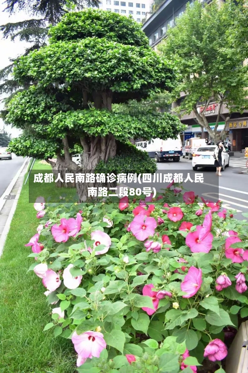 成都人民南路确诊病例(四川成都人民南路二段80号)-第2张图片