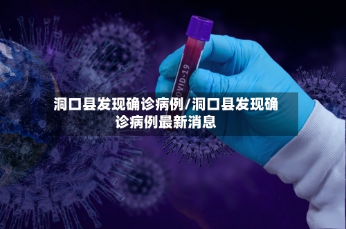 洞口县发现确诊病例/洞口县发现确诊病例最新消息-第3张图片