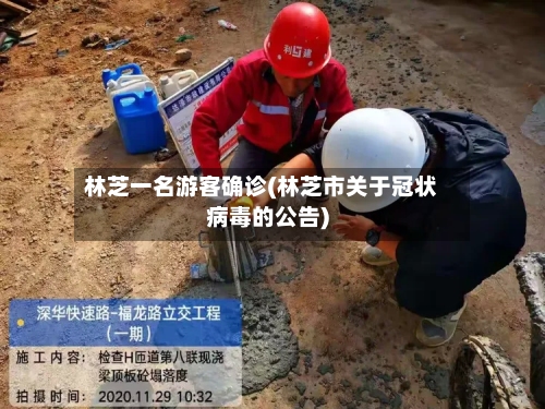 林芝一名游客确诊(林芝市关于冠状病毒的公告)-第2张图片