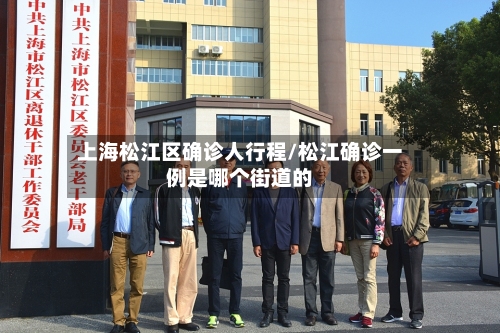 上海松江区确诊人行程/松江确诊一例是哪个街道的-第2张图片
