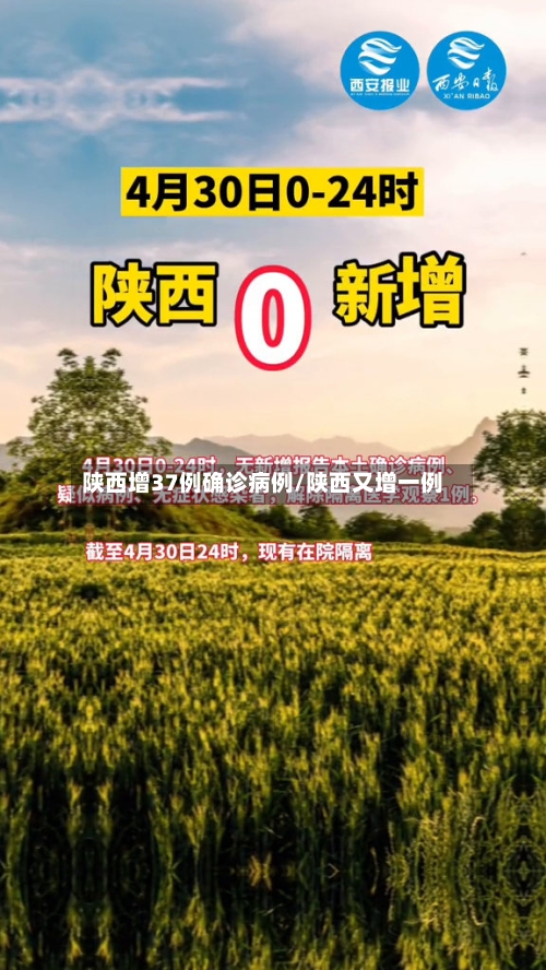 陕西增37例确诊病例/陕西又增一例