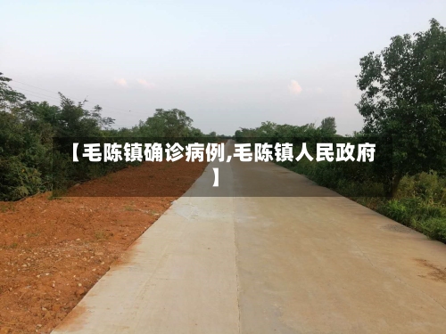 【毛陈镇确诊病例,毛陈镇人民政府】-第2张图片
