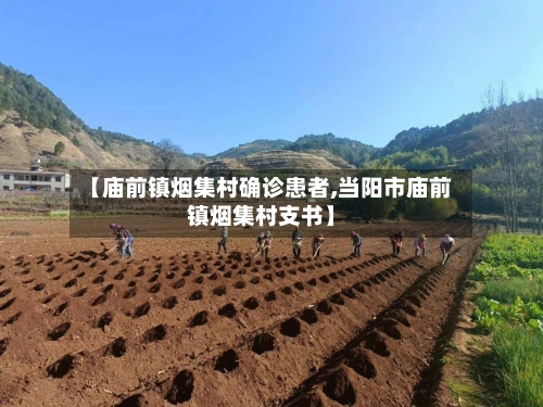 【庙前镇烟集村确诊患者,当阳市庙前镇烟集村支书】-第2张图片