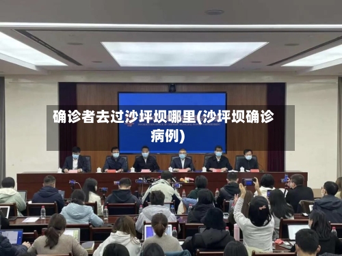 确诊者去过沙坪坝哪里(沙坪坝确诊病例)-第2张图片