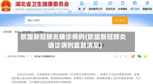 欧盟新冠肺炎确诊病例(欧盟新冠肺炎确诊病例最新消息)-第3张图片