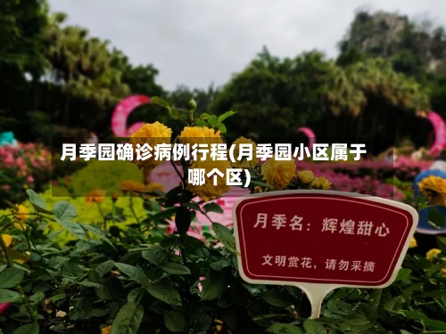 月季园确诊病例行程(月季园小区属于哪个区)