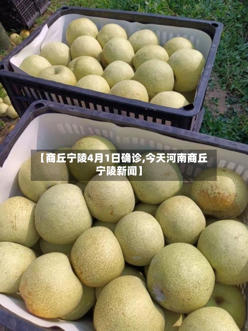 【商丘宁陵4月1日确诊,今天河南商丘宁陵新闻】