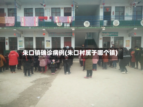 朱口镇确诊病例(朱口村属于哪个镇)