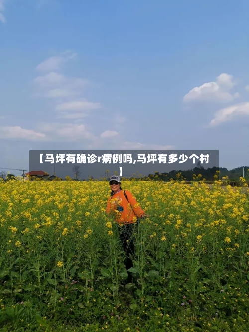 【马坪有确诊r病例吗,马坪有多少个村】