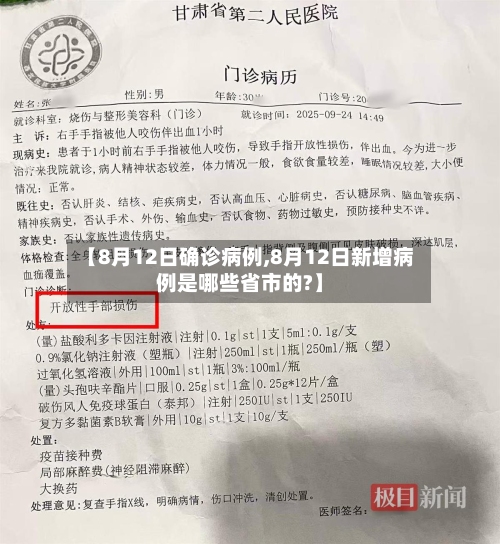 【8月12日确诊病例,8月12日新增病例是哪些省市的?】