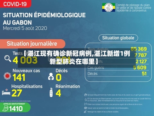 【湛江现有确诊新冠病例,湛江新增1例新型肺炎在哪里】-第3张图片