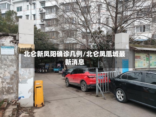 北仑新凤阳确诊几例/北仑凤凰城最新消息-第2张图片