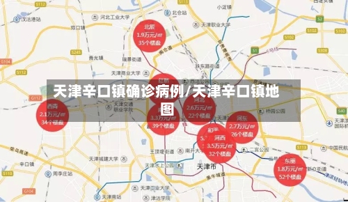 天津辛口镇确诊病例/天津辛口镇地图