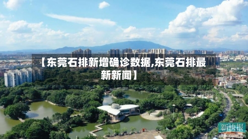 【东莞石排新增确诊数据,东莞石排最新新闻】