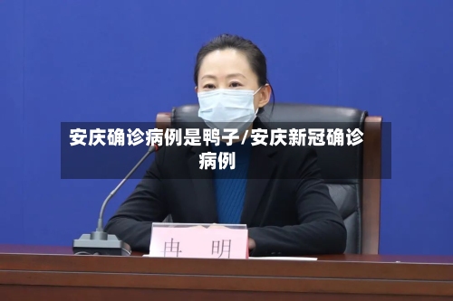 安庆确诊病例是鸭子/安庆新冠确诊病例-第2张图片