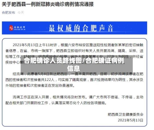 合肥确诊人员路线图/合肥确证病例信息-第2张图片