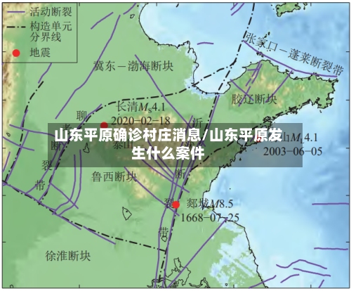 山东平原确诊村庄消息/山东平原发生什么案件
