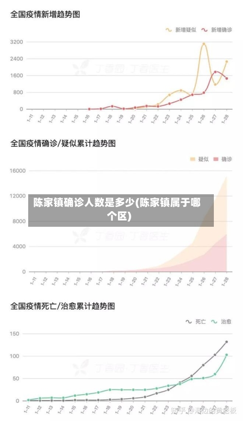 陈家镇确诊人数是多少(陈家镇属于哪个区)